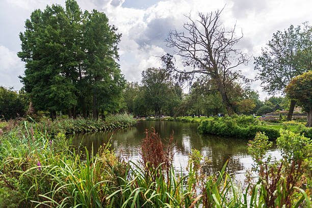 Amsterdam, Netherlands - August 26, 2023. Outdoor scene showing a pond in the Vondelpark in the city center of Amsterdam.