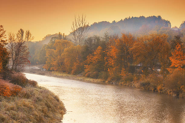 Autumn River with Exposed Bed and Colorful Trees in Poland