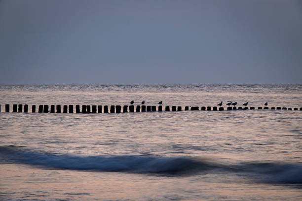Evening atmosphere at the North Sea - breakwater and waves at sunset