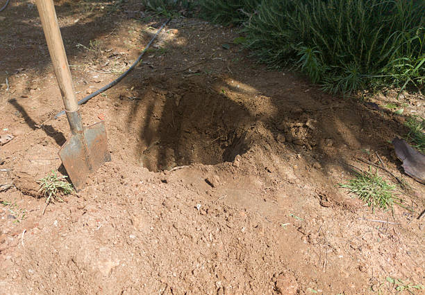 istock Stamped spade sticked near the tree pit 2243293255
