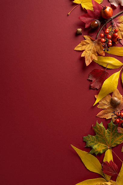 istock Vertical composition with vibrant autumn leaves and berries along a rich red backdrop creates warm seasonal mood and decorative inspiration for rustic decor and crafts 2243294846