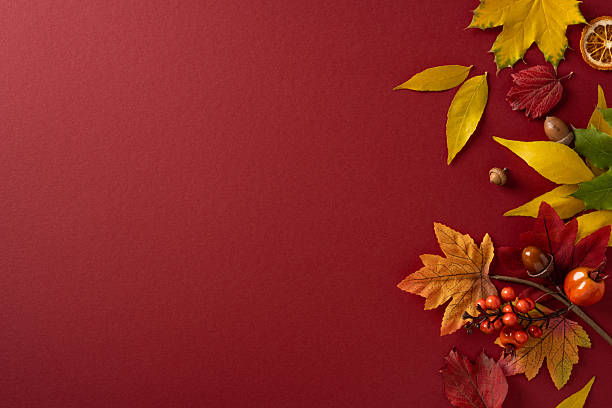 istock Vibrant autumn border on a deep red backdrop features leaf shapes, berries, and citrus accents along the edge, conveying warm seasonal mood and festive decor perfect for fall projects 2243294849