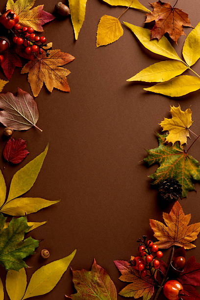 istock Autumn leaf border frame with berry and pinecone accents creates a rustic cozy natural vibe suitable for seasonal decor and vertical layout 2243294853