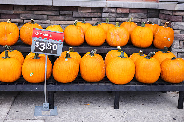 Fresh orange pumpkins displayed outside a grocery store on a black shelf with a rollback price sign. High quality photo