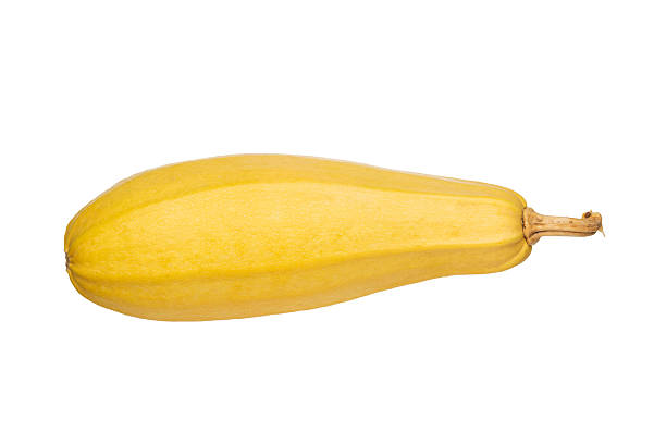 istock Fresh Yellow Spaghetti Squash Isolated on White Background for Healthy Cooking and Diet 2243301678