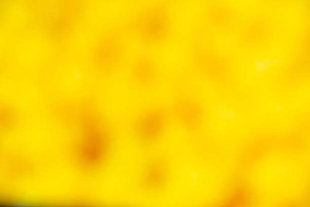 Artistic blurry colorful wallpaper background