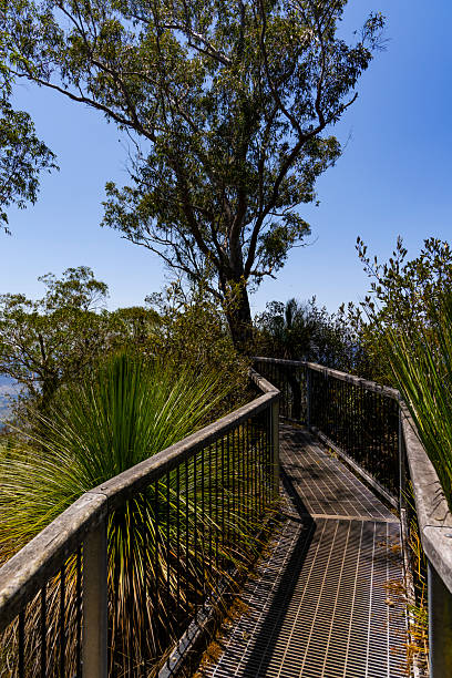 istock Walkway in a National Park 2243308053