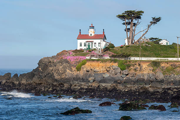 istock Lighthouse in Crescent City California with flower in bloom 2243314367