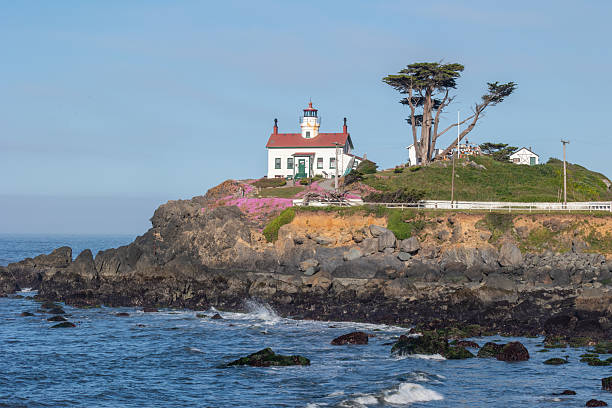 istock Lighthouse in Crescent City California with flower in bloom 2243314375