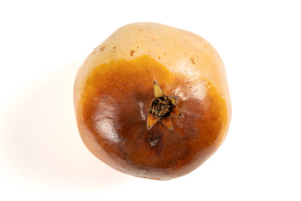 top view overripe pomegranate on white