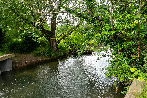 The river Cam on the road between Hinxton and Duxford