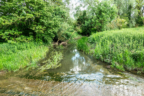 The river Cam on the road between Hinxton and Duxford