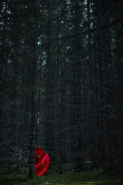 striking scene unfolds in a dark forest, where a bright red fabric flows among tall trees, enhancing the mysterious atmosphere of the surroundings.