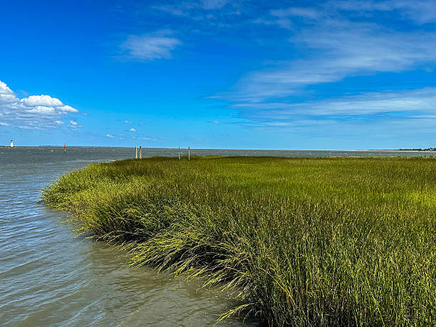 istock View of Savannah River from Tybee Island 2243322107
