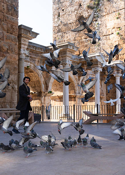 istock Young man feeding the pigeons in front of Hadrian Gate, Antalya 2243322420