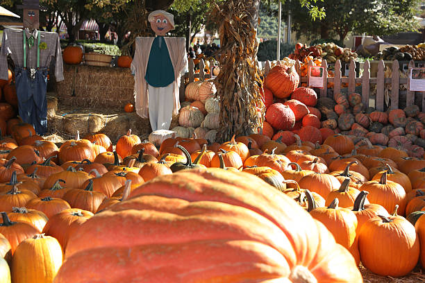 Cute scarecrow standing by a fence in autumn