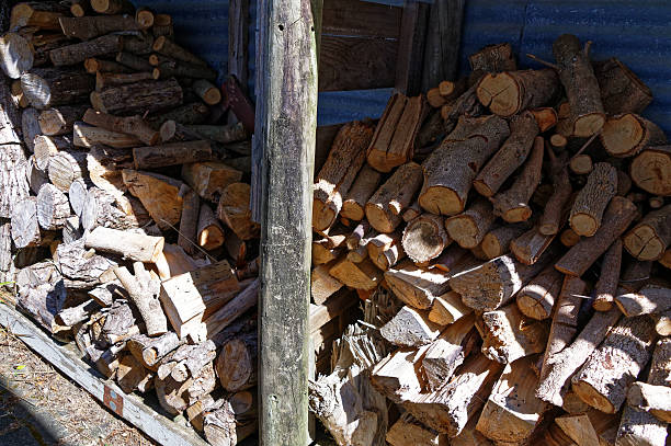 istock Fuel for the fire, firewood stacked in a shed 2243324861