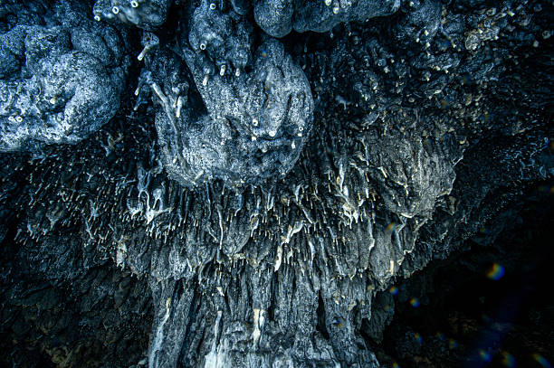 Azdavay Medil Cave stalactites - Küre Mountains National Park