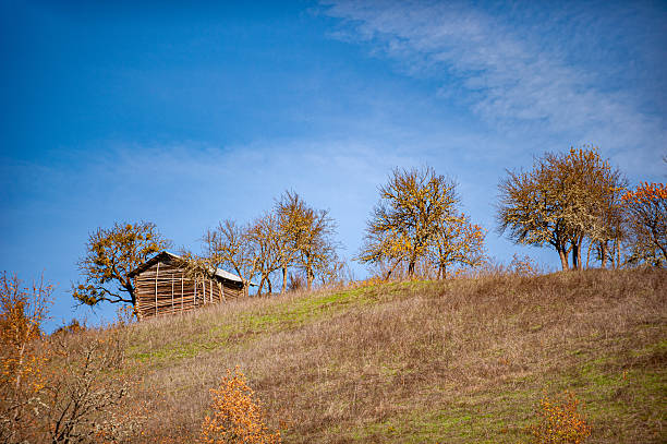 Dilapidated wooden cabin with broken roof in a mountain landscape during fall season