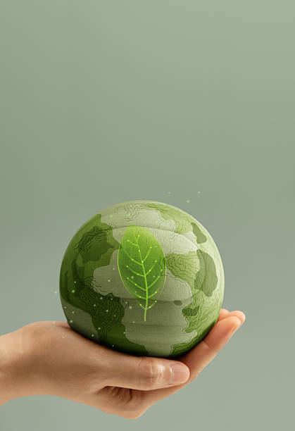 istock Earth in hands symbolizing sustainability, Recyling and Renewable 2243336746