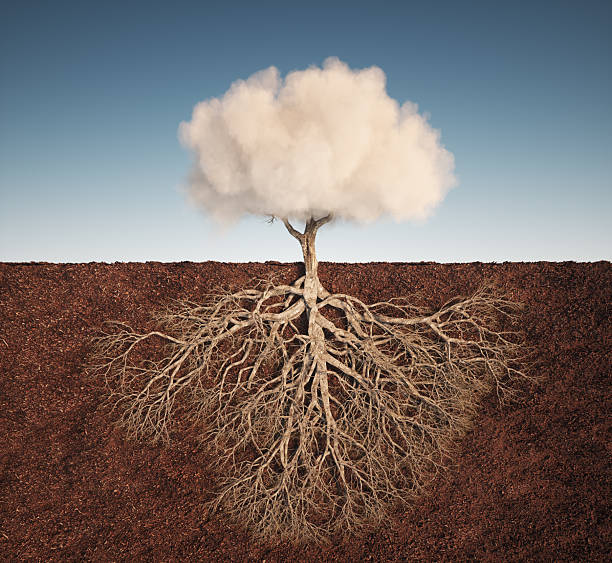 istock Unique depiction of a tree with a cloud canopy and intricate root system against a clear blue sky 2243338159