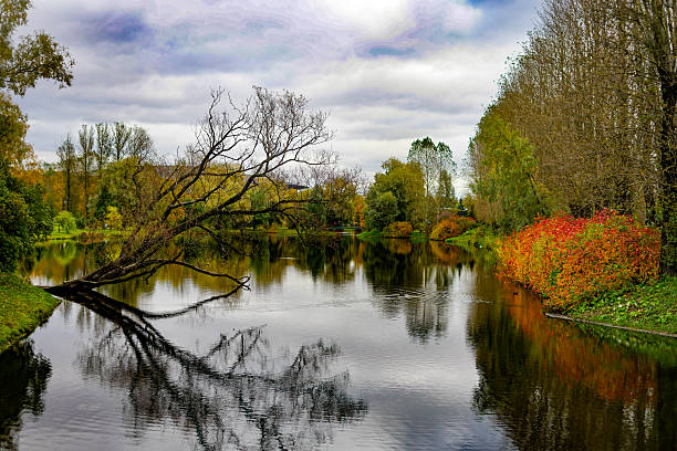 istock Autumn in the Park 2243339730
