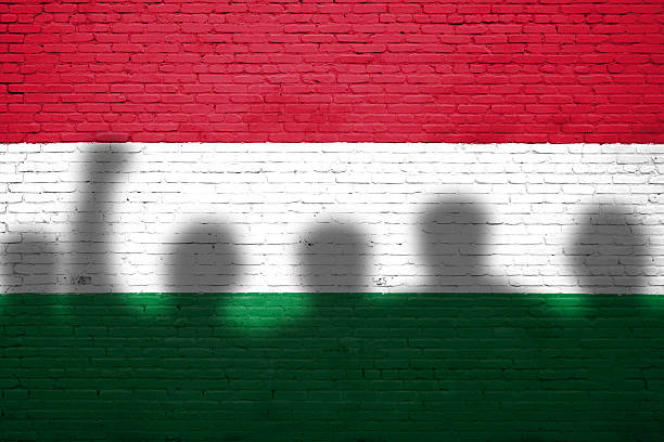 Flag of Hungary painted on a brick wall with protesters