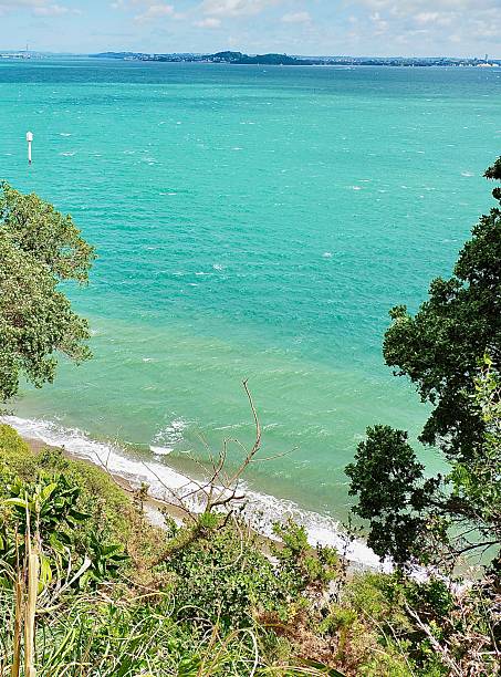 istock Looking down a Ladies Bay from Archilles Point at Auckland's Waterfront 2243345209