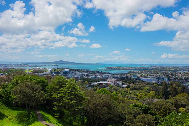 istock Metropolitan city view from green hill under blue summer sky 2243352039
