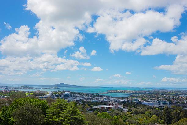 Metropolitan city view from green hill under blue summer sky