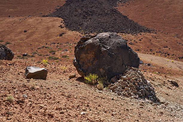 Volcanic boulders (lava bombs) known as Huevos del Teide rest on a barren slope with sparse yellow vegetation under clear sky