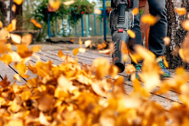 Little girl using leaf blower on the front yard during a day of autumn