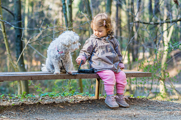 istock Small girl on a walk with havanese dog 2243363265