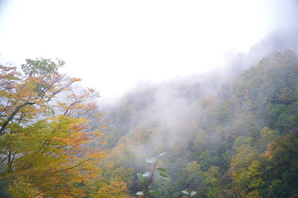 Autumn mist, red leaves, mountain peaks.