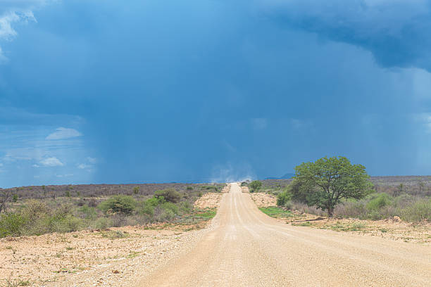 Photo of a landscape in the Namibian Desert.