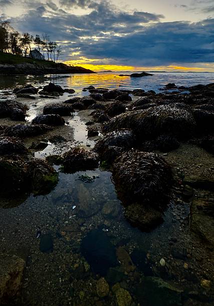 istock Cape Ann, Massachusetts 10-24-25 — 10-25-25 2243370090