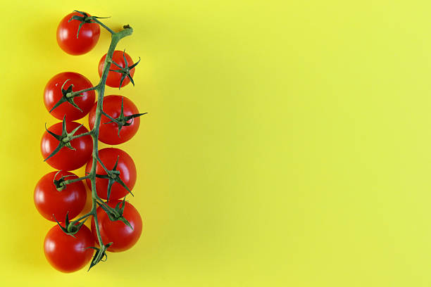 istock Fresh cherry tomatoes on a vine placed on a bright yellow background. 2243370668