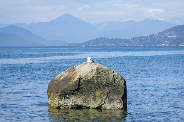 istock Large shoreline boulder in calm blue water 2243372160