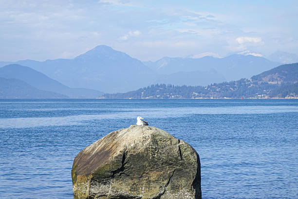 istock Large shoreline boulder in calm blue water 2243372161