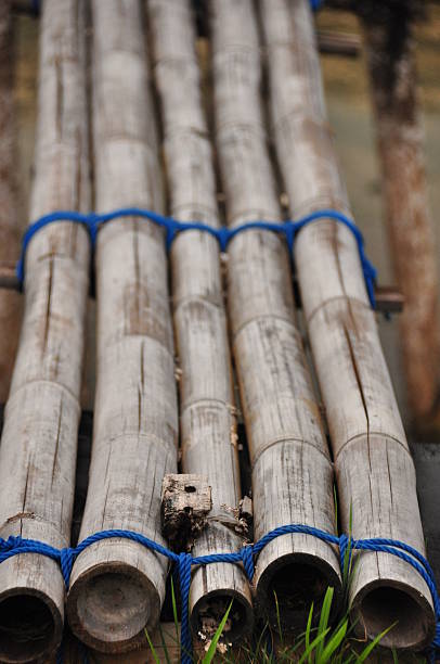 istock Bamboo rafts securely tied together on a serene riverbank in a lush natural setting 2243378309