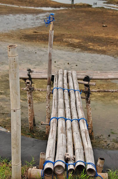 istock Bamboo bridge built over shallow water near a coastal area creates a unique pathway for visitors 2243378320