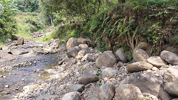 istock Rocky Riverbank with Flowing Stream in Tropical Forest Landscape 2243378346