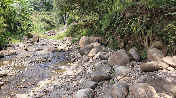 istock Rocky Riverbank with Flowing Stream in Tropical Forest Landscape 2243378353