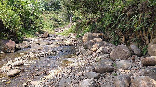 istock Rocky Riverbank with Flowing Stream in Tropical Forest Landscape 2243378362