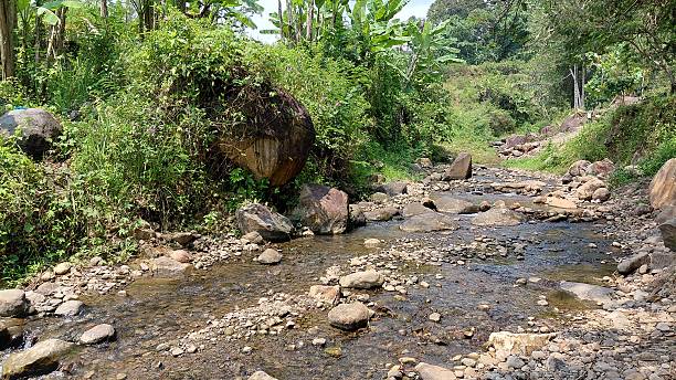 istock Rocky Riverbank with Flowing Stream in Tropical Forest Landscape 2243378387