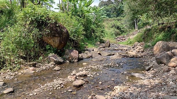 istock Rocky Riverbank with Flowing Stream in Tropical Forest Landscape 2243378392