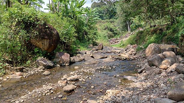 istock Rocky Riverbank with Flowing Stream in Tropical Forest Landscape 2243378393