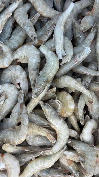 istock Raw shrimp piled together display seafood freshness and texture for cooking or culinary background 2243380286