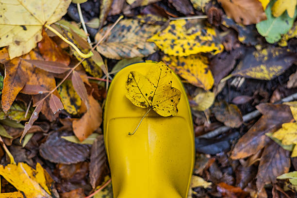 Yellow boots against a background of fallen leaves