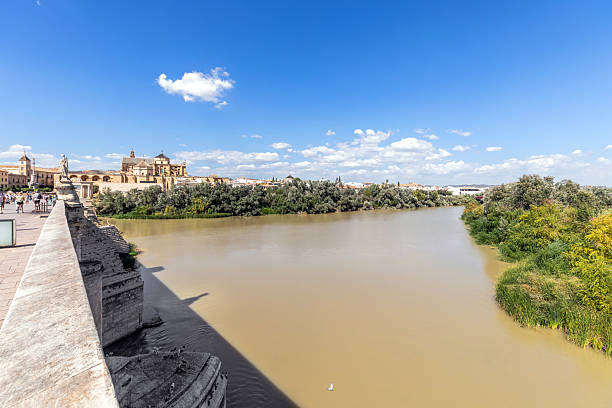 Panoramic view of Cordoba Old Town, Andalusia, Spain